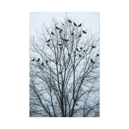 Tree of Crows Silhouette Wall Art & Canvas Print