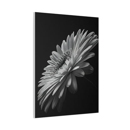 Angled Bloom with Bud Detail Wall Art & Canvas Prints