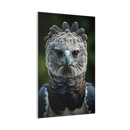 Regal Harpy Eagle Portrait Wall Art & Canvas Prints