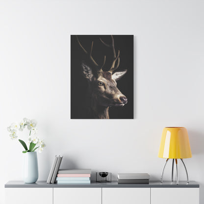Shadowed Stag Minimal Portrait Wall Art & Canvas Print