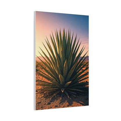Desert Agave Sunburst Wall Art & Canvas Prints