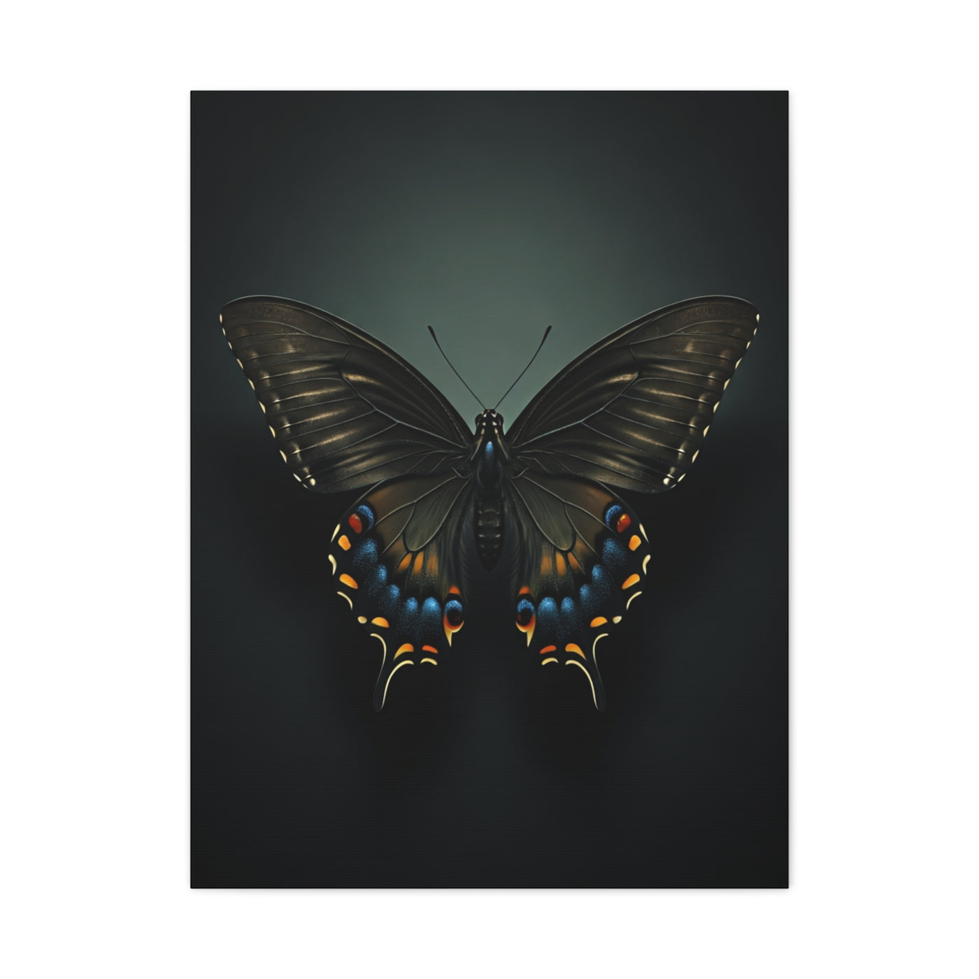 Midnight Swallowtail Butterfly with Jewel Wing Accents Wall Art & Canvas Prints