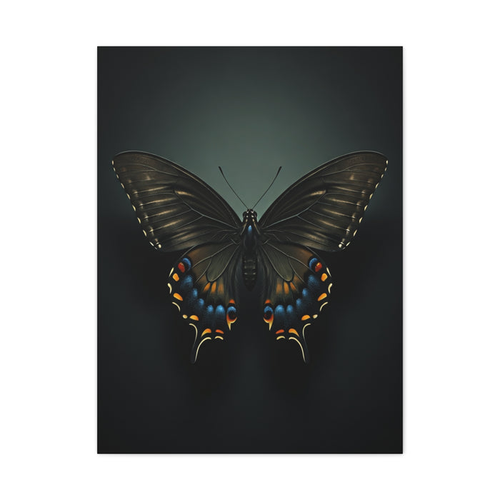 Midnight Swallowtail Butterfly with Jewel Wing Accents Wall Art & Canvas Prints