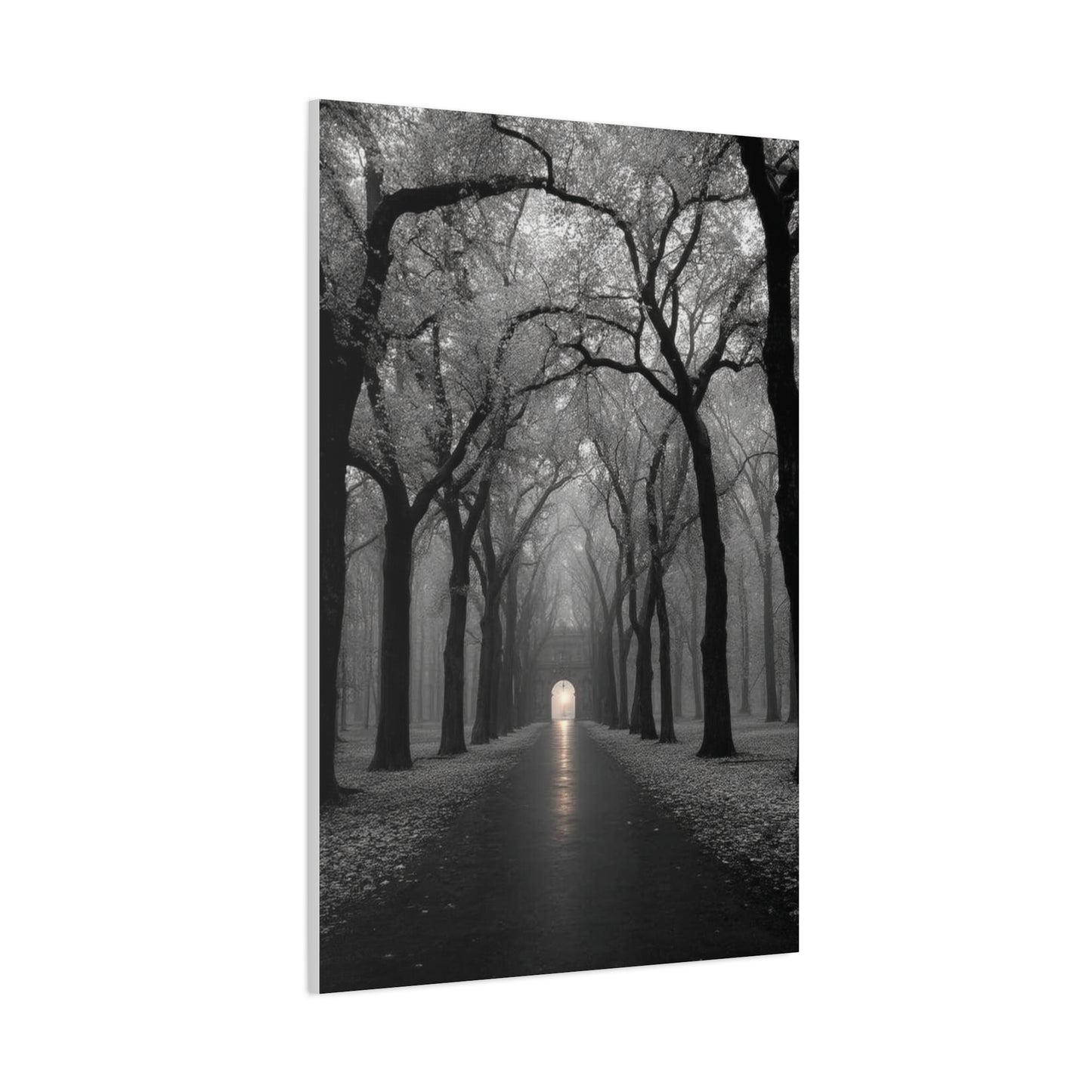 Misty Tree Avenue Monochrome Wall Art & Canvas Print