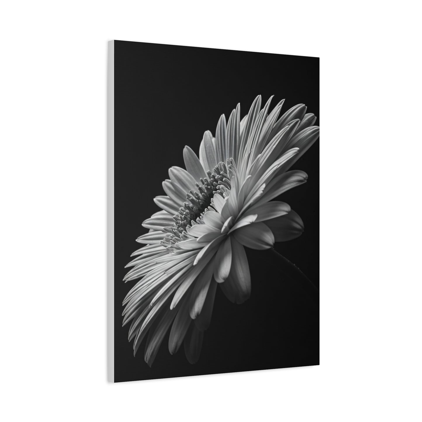 Angled Bloom with Bud Detail Wall Art & Canvas Prints