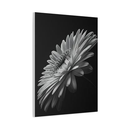 Angled Bloom with Bud Detail Wall Art & Canvas Prints