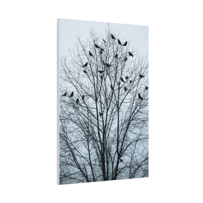 Tree of Crows Silhouette Wall Art & Canvas Print