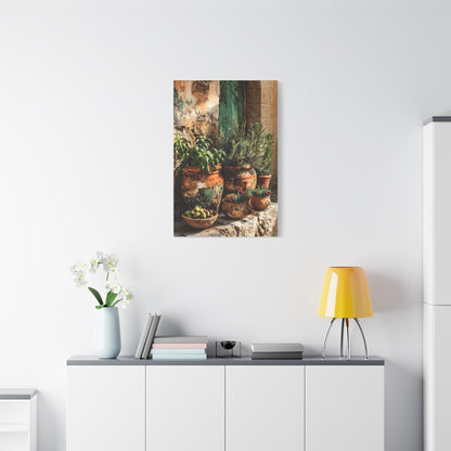 Mediterranean Herb Garden Still Life Wall Art & Canvas Print