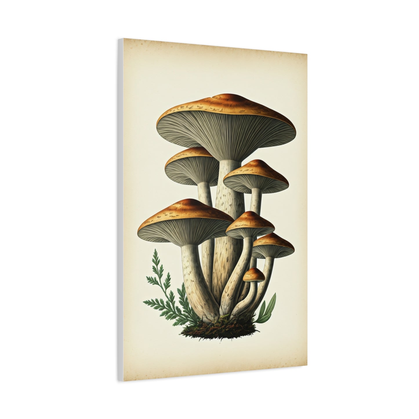 Forest Mushroom Cluster Illustration Wall Art & Canvas Prints