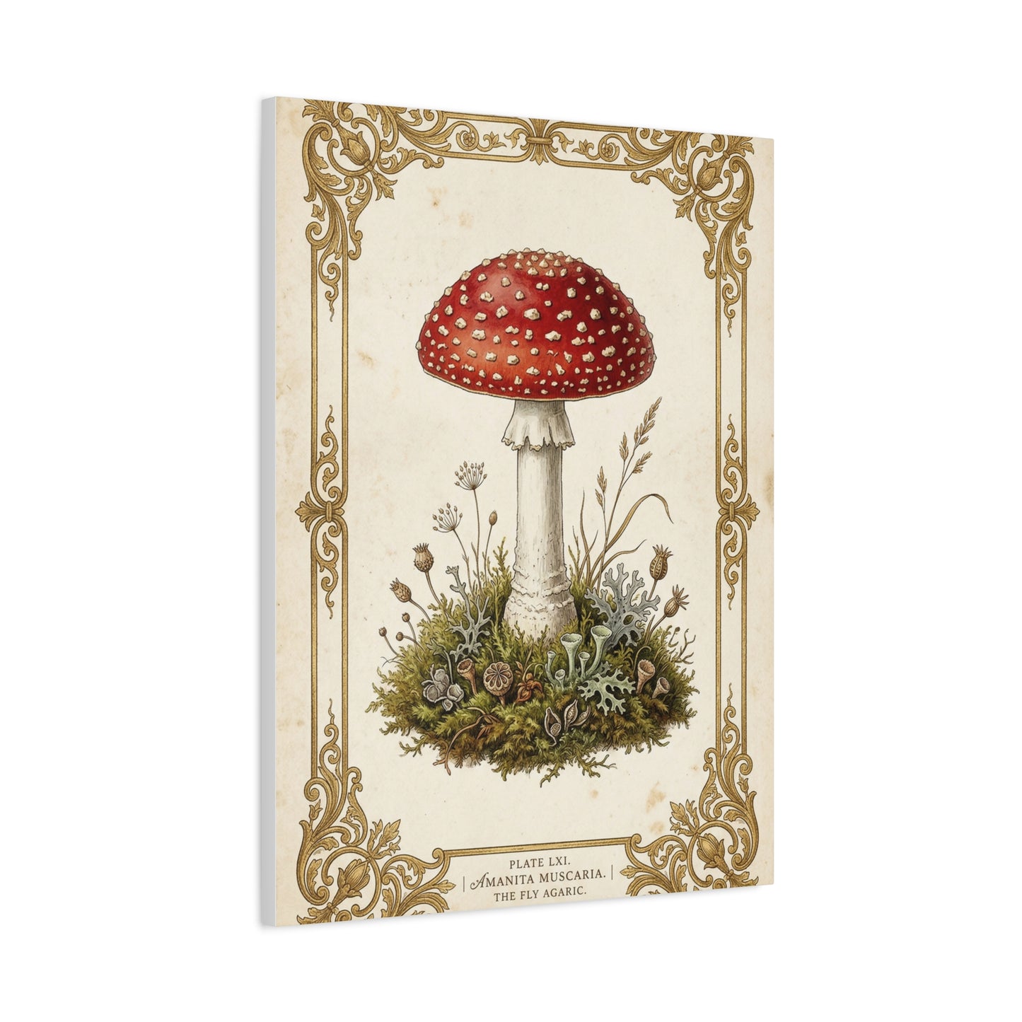 Victorian Botanical Mycology Plate Wall Art & Canvas Print