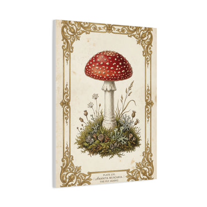 Victorian Botanical Mycology Plate Wall Art & Canvas Print