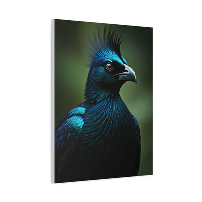 Midnight Crested Starling Portrait Wall Art & Canvas Prints