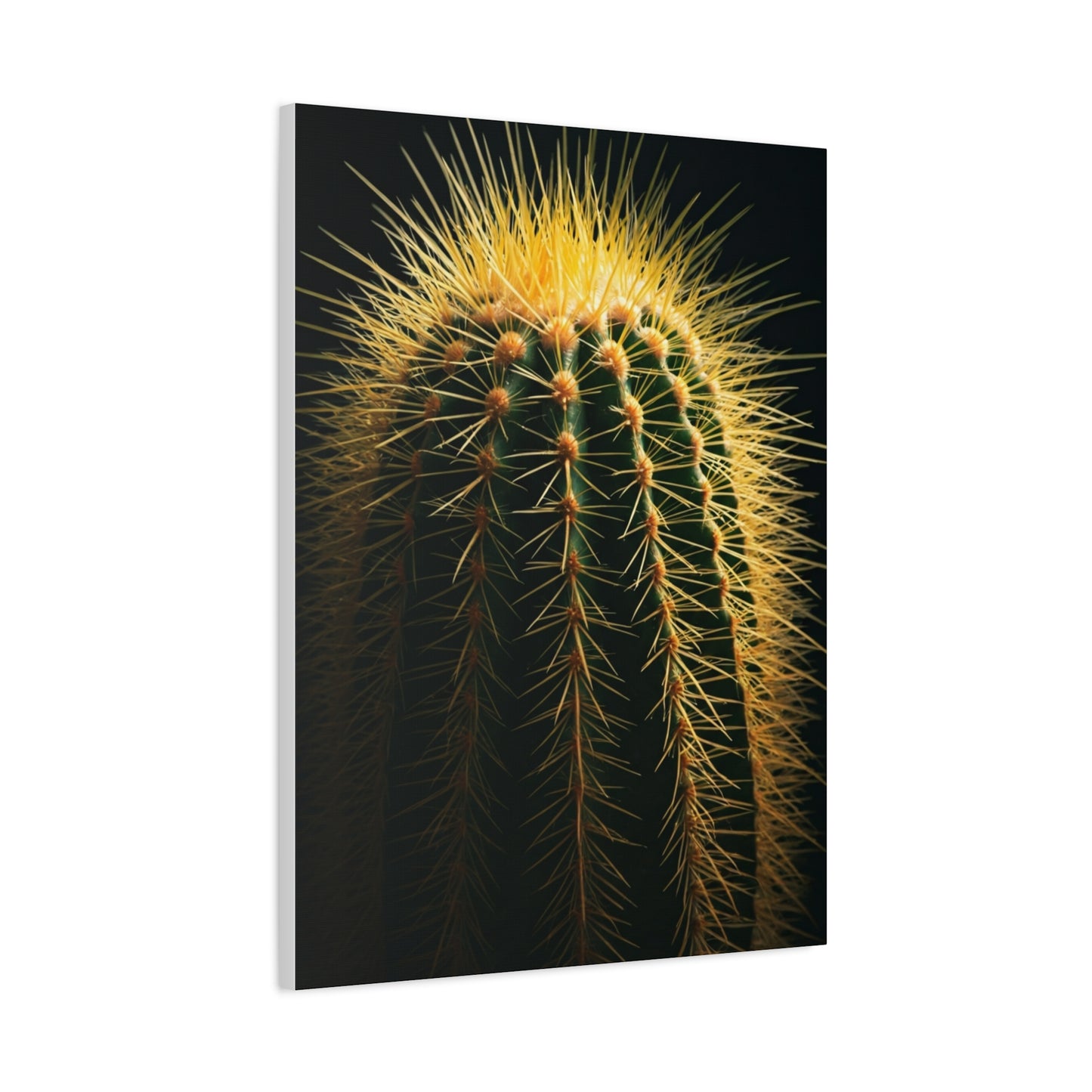 Desert Stone Barrel Cactus Wall Art & Canvas Prints
