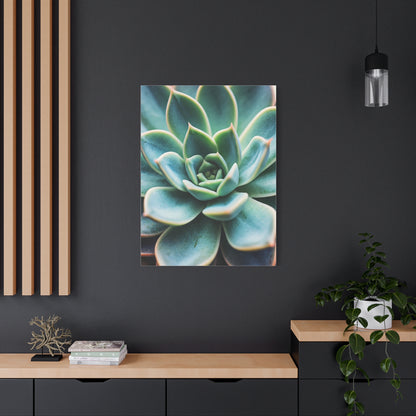 Sage Succulent Bloom Wall Art & Canvas Prints