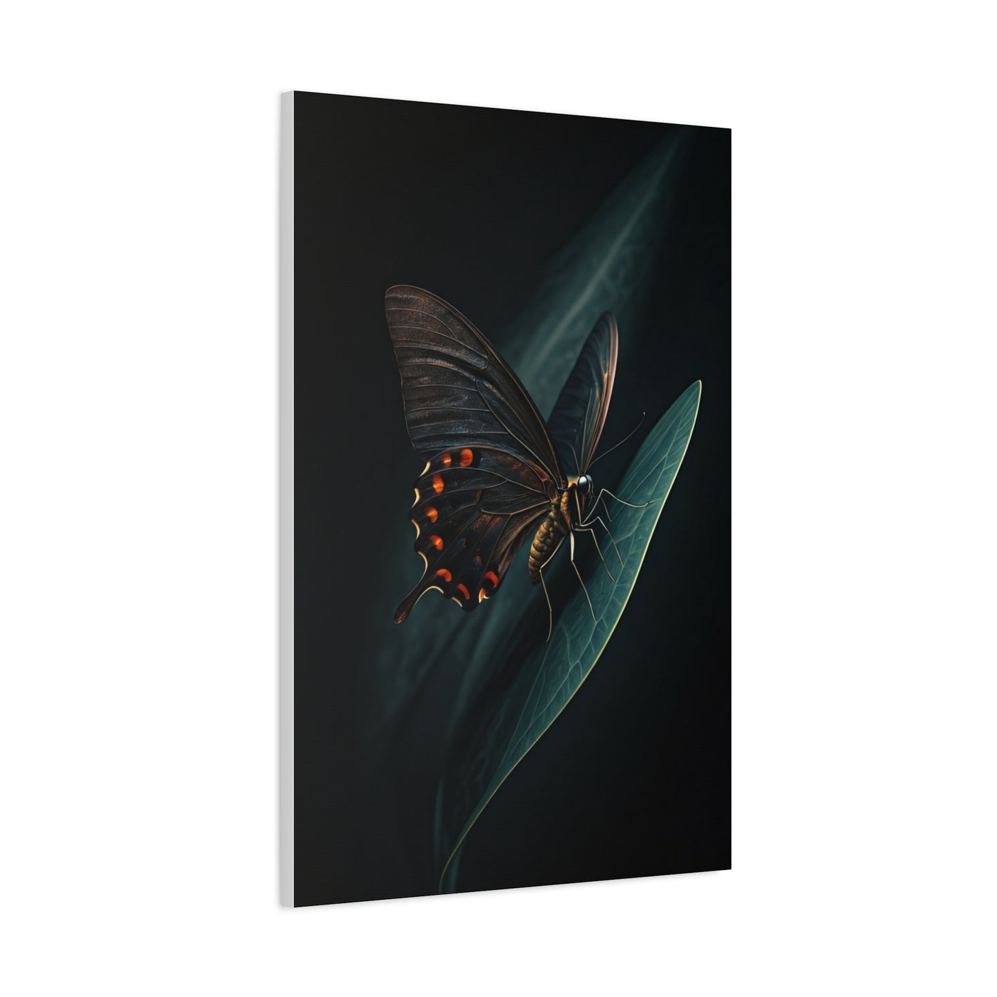 Dark Swallowtail Butterfly on Leaf Wall Art & Canvas Prints