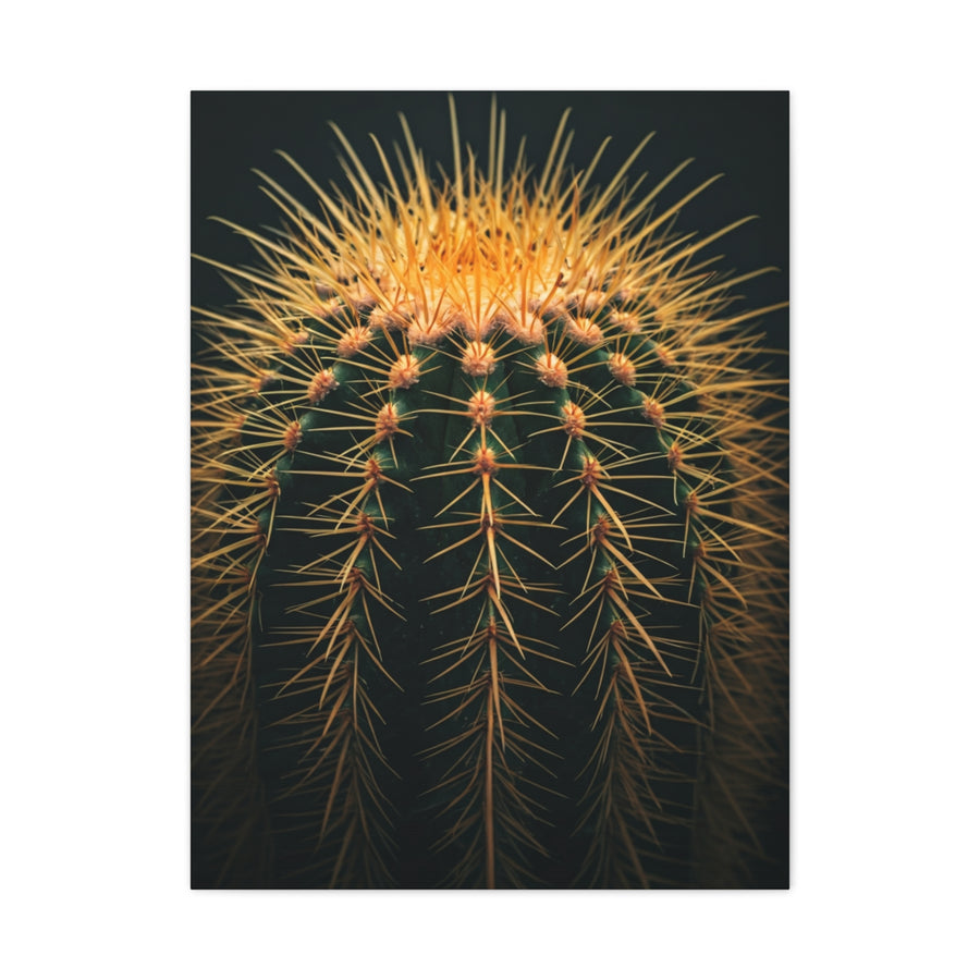 Sunset Crown Cactus Wall Art & Canvas Prints