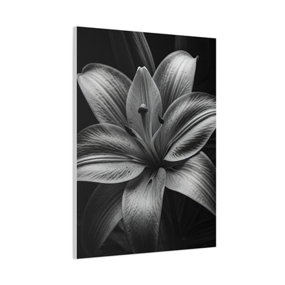 Monochrome Lily Bloom Wall Art & Canvas Prints