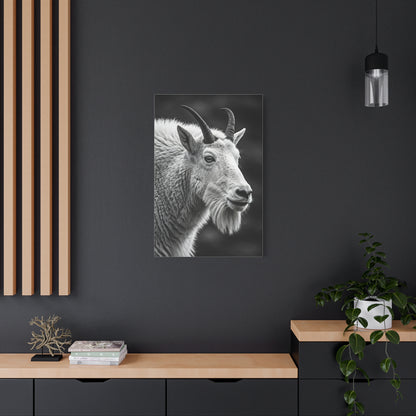 Alpine Goat Portrait Wall Art & Canvas Prints