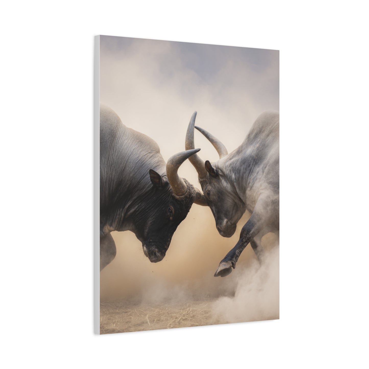 Bulls Clashing Horns Dramatic Wildlife Wall Art & Canvas Print