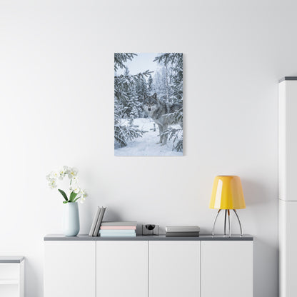 Winter Forest Wolf Natural Encounter Scene Wall Art & Canvas Print