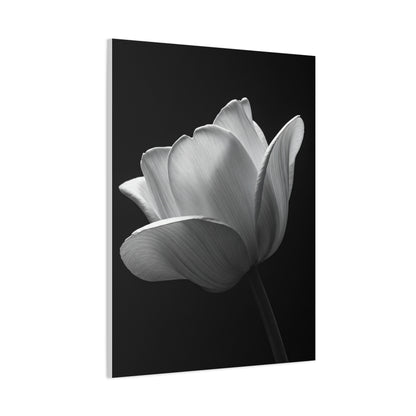 Orchid Symmetry in Black & White Wall Art & Canvas Prints