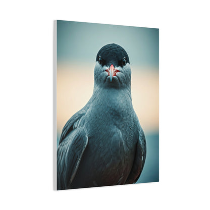 Arctic Tern Portrait Wall Art & Canvas Prints