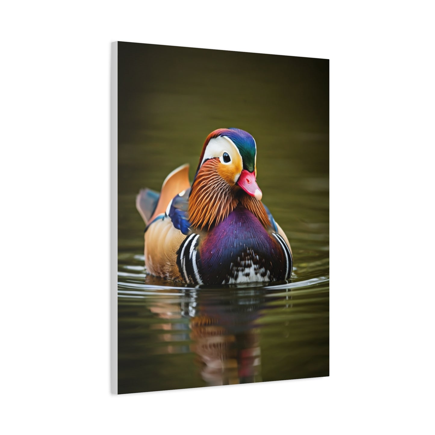 Mandarin Duck with Colorful Plumage Wall Art & Canvas Prints