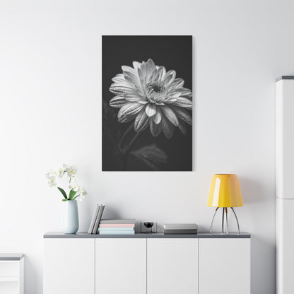 Peony Elegance in Monochrome Wall Art & Canvas Prints