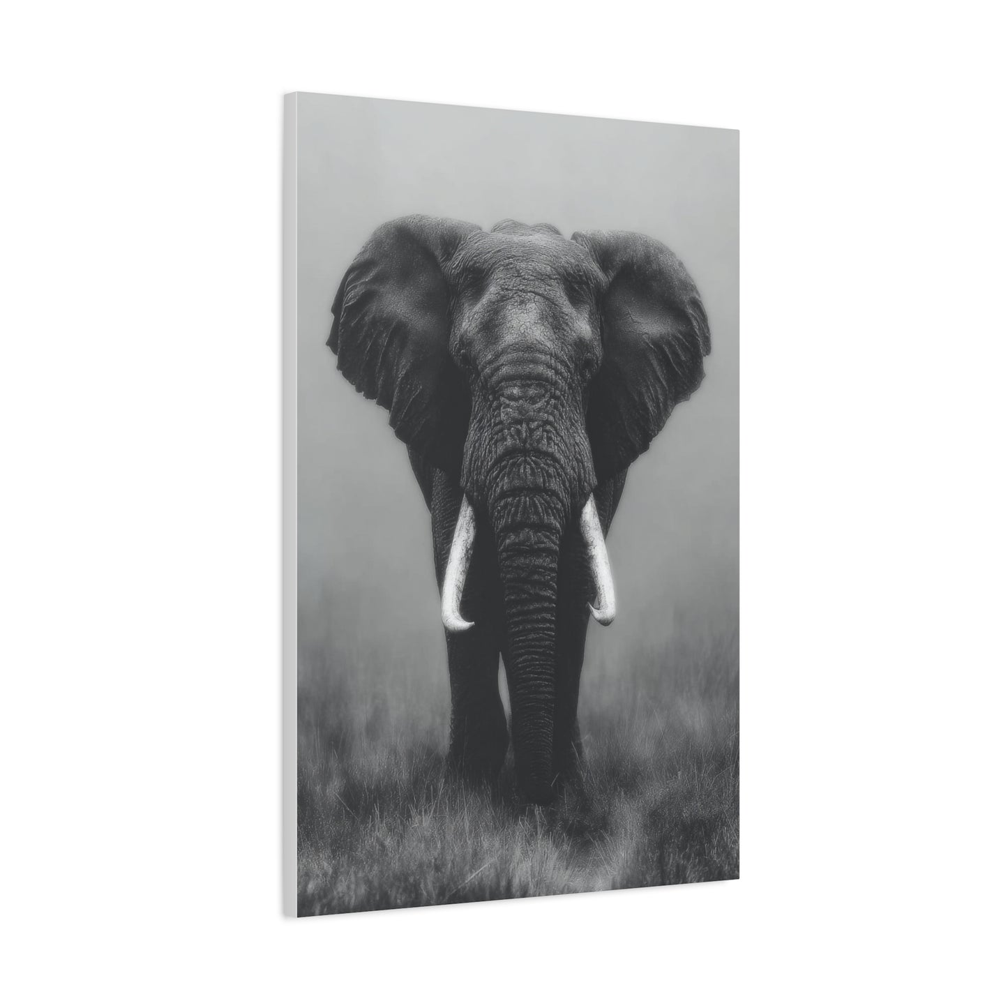 Copy of Sculptural Driftwood Bonsai Wall Art & Canvas Print