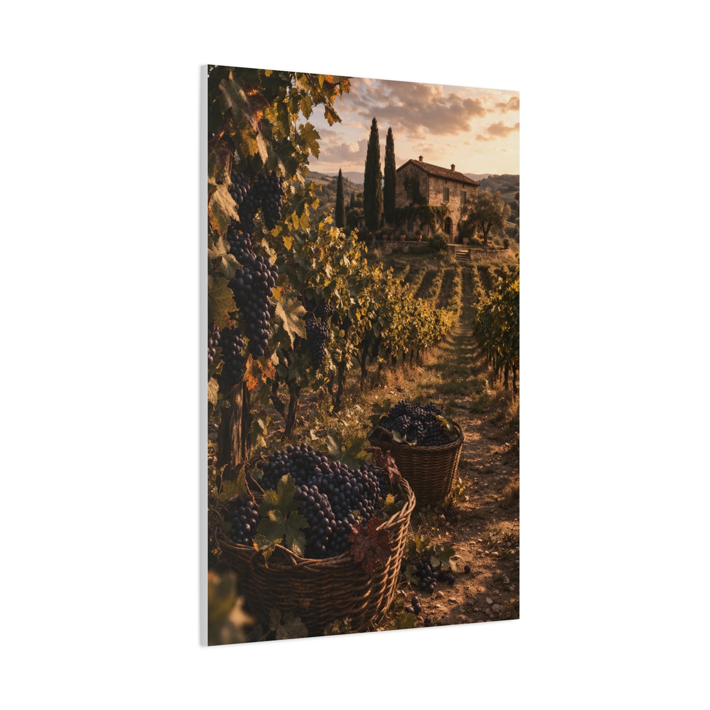 Tuscan Vineyard Harvest Scene Wall Art & Canvas Print