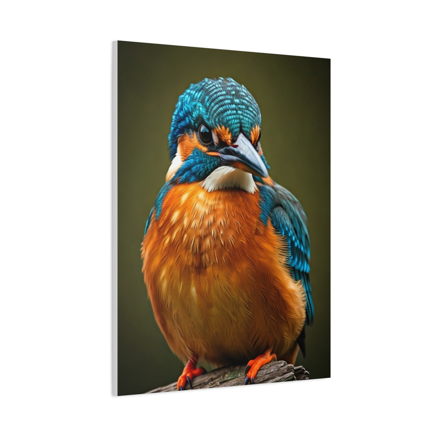 Tender Kingfisher Moment Wall Art & Canvas Prints