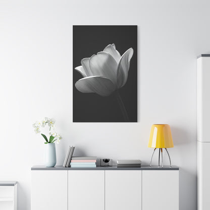 Orchid Symmetry in Black & White Wall Art & Canvas Prints