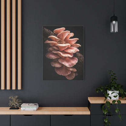 Blush Pink Oyster Mushroom Macro Study Wall Art & Canvas Print
