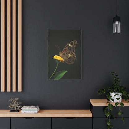 Golden Meadow Butterfly On Yellow Blossom Wall Art & Canvas Prints
