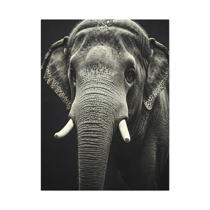 Regal Elephant Close-Up Wall Art & Canvas Prints