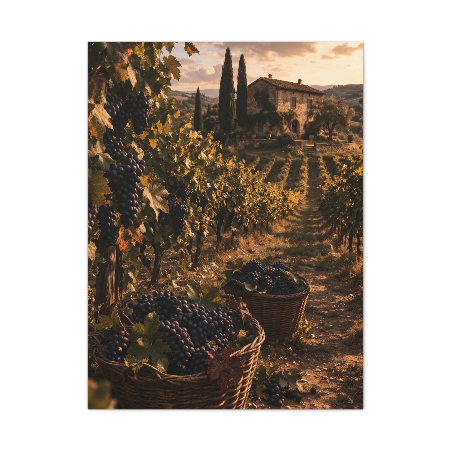 Tuscan Vineyard Harvest Scene Wall Art & Canvas Print