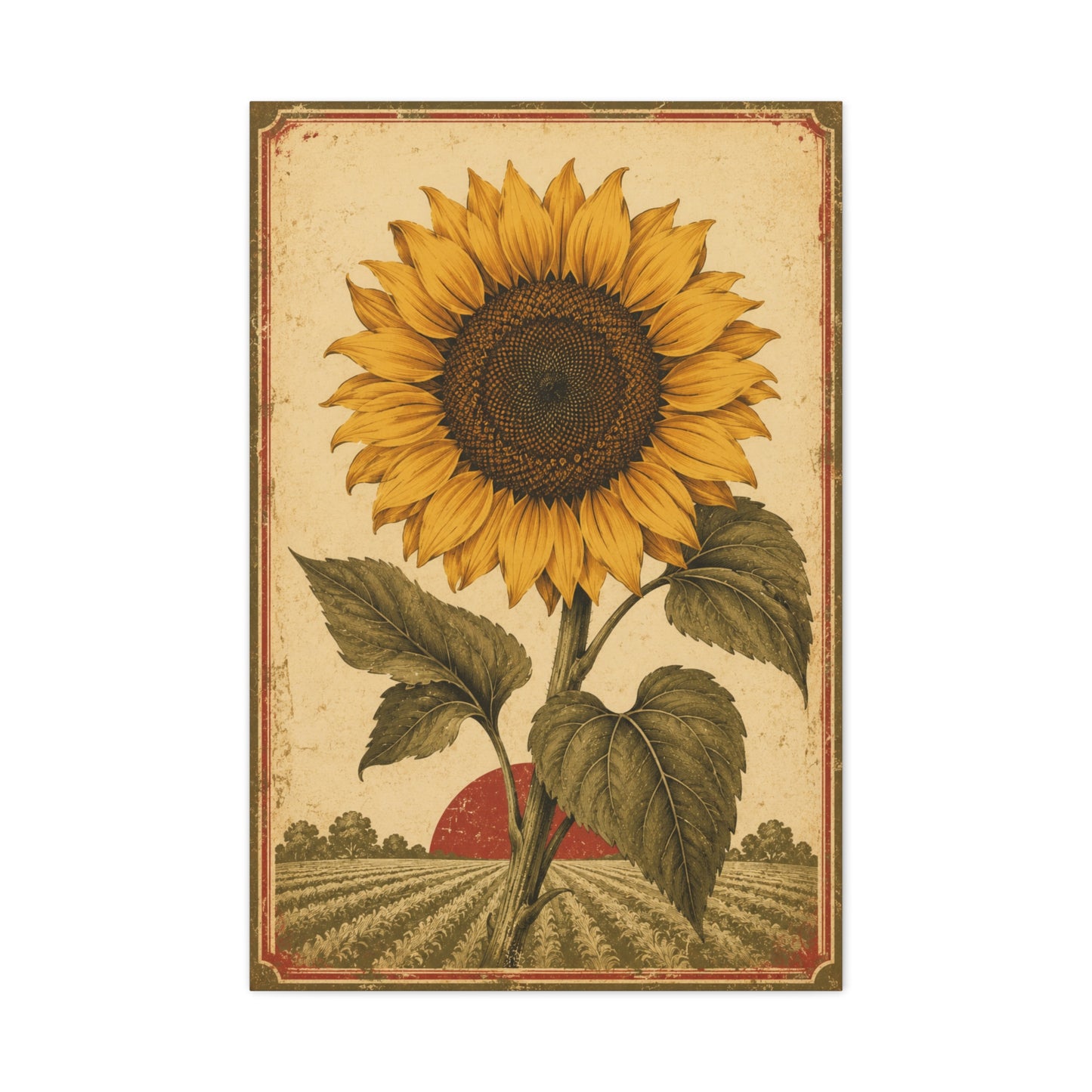 Heritage Field Sunflower Illustration Wall Art & Canvas Print