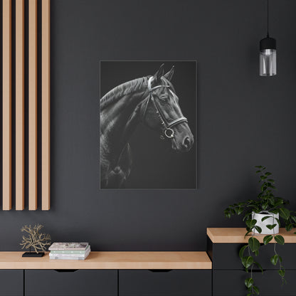 Elegant Black Stallion Profile Wall Art & Canvas Prints