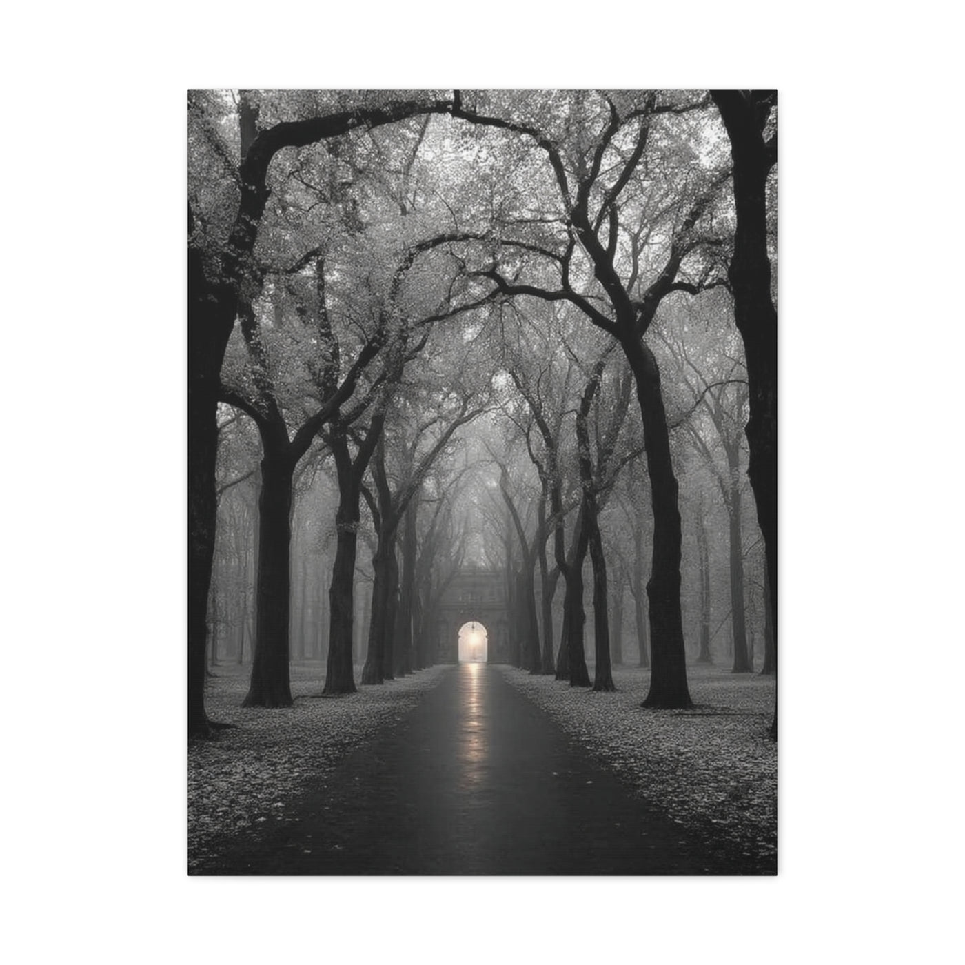 Misty Tree Avenue Monochrome Wall Art & Canvas Print