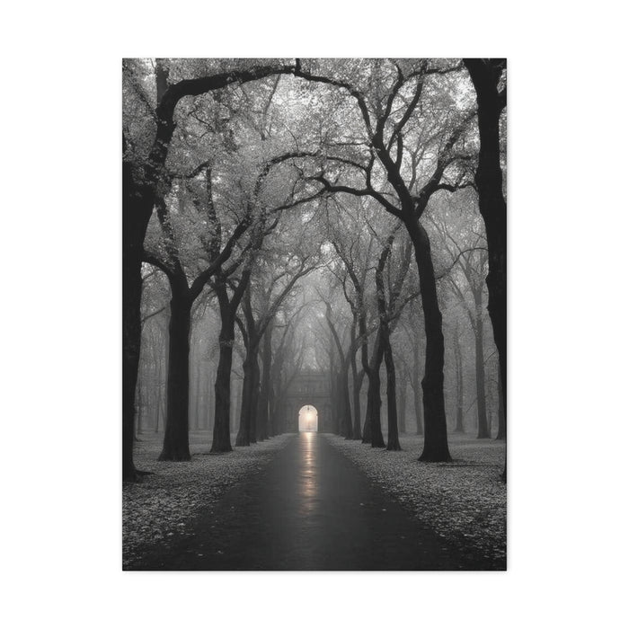 Misty Tree Avenue Monochrome Wall Art & Canvas Print