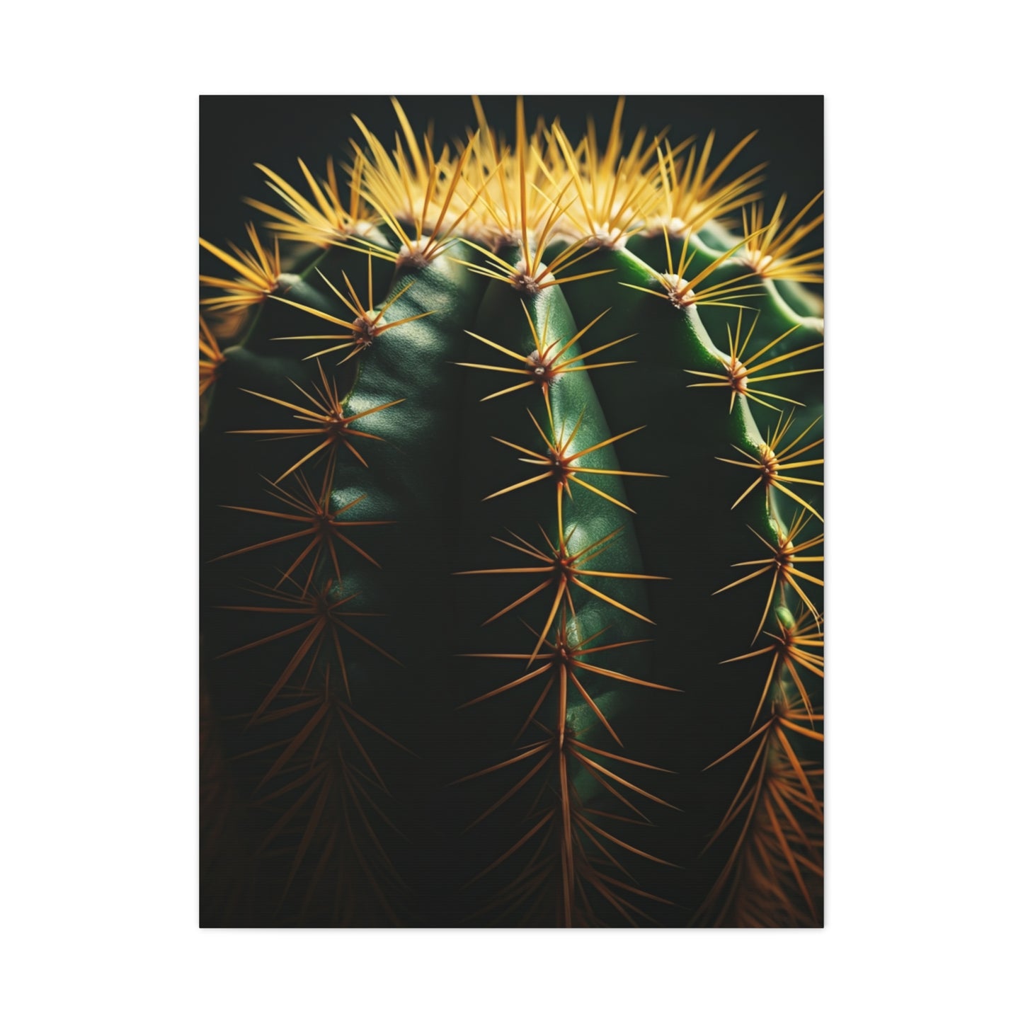 Golden Spine Macro Cactus Wall Art & Canvas Prints