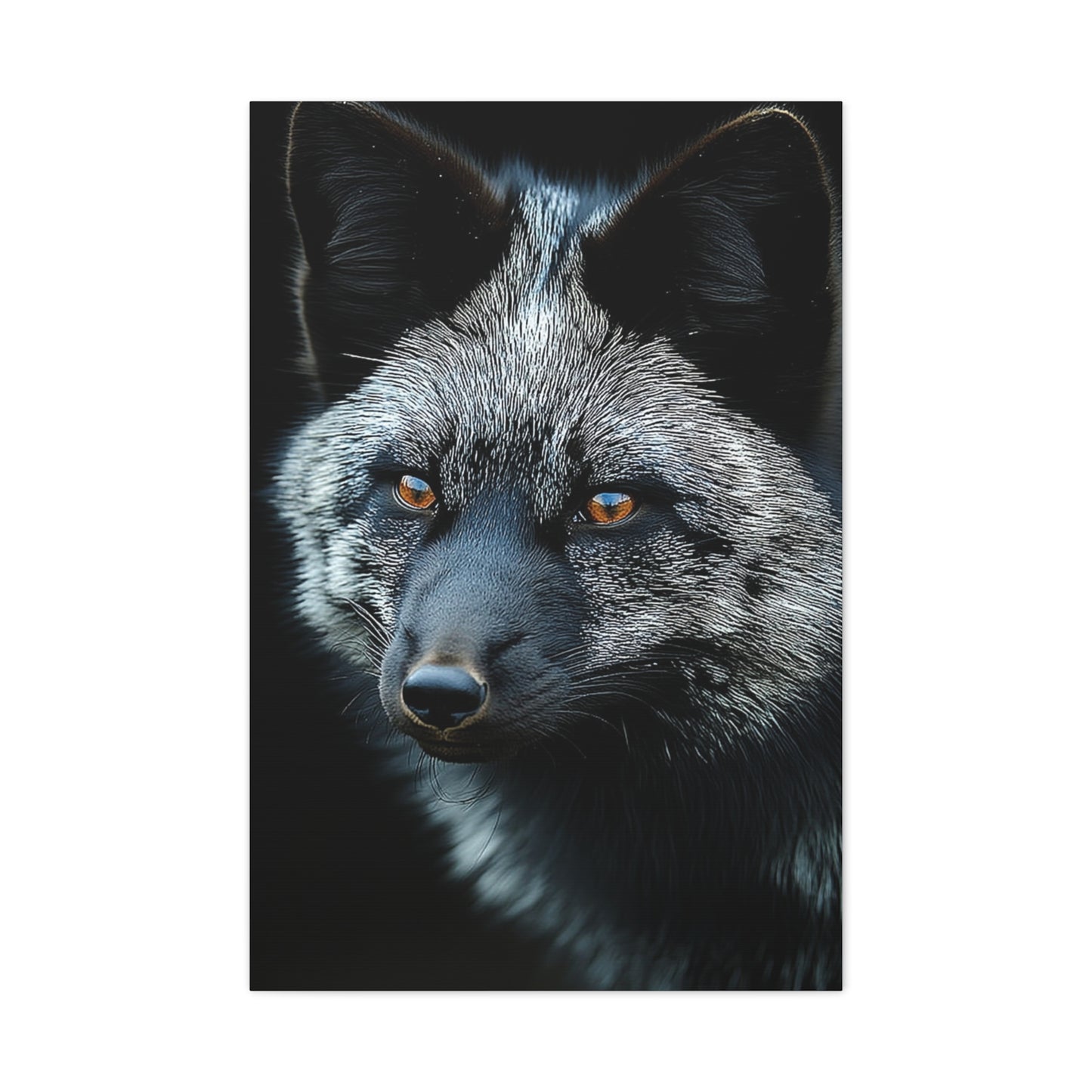 Silver Fox Velvet Portrait Wall Art & Canvas Print