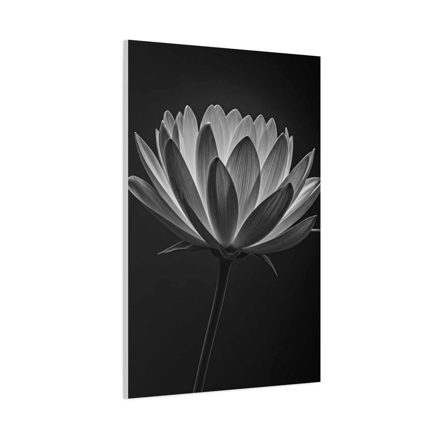 Dramatic Hibiscus Petal Study Wall Art & Canvas Prints