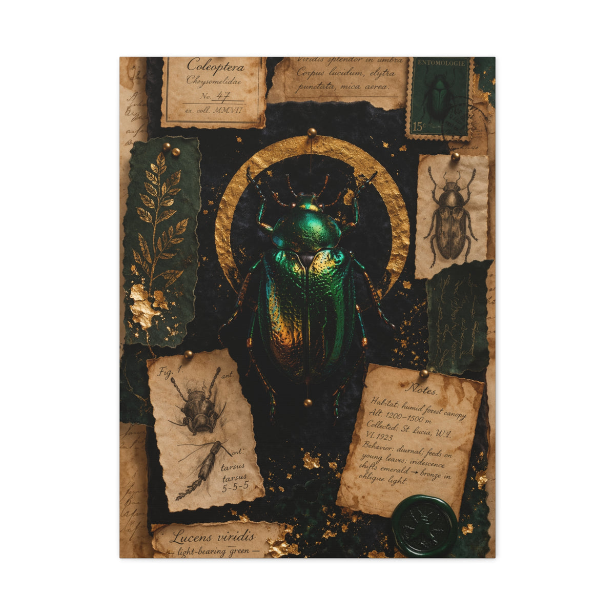 Cabinet of Curiosities Insect Study Wall Art & Canvas Print