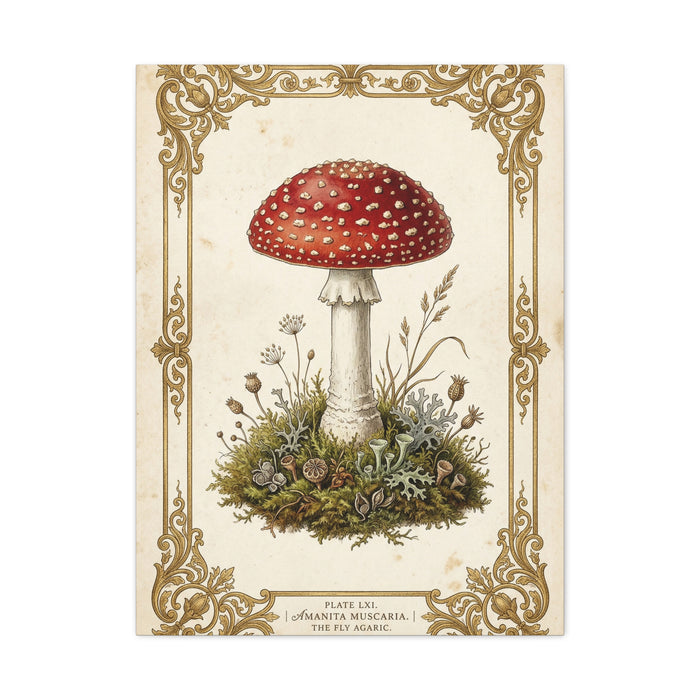 Victorian Botanical Mycology Plate Wall Art & Canvas Print