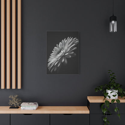 Angled Bloom with Bud Detail Wall Art & Canvas Prints