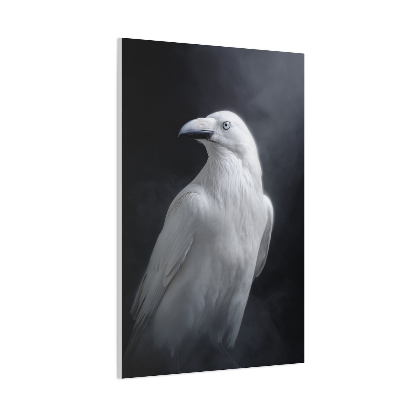 Elegant White Raven Portrait Wall Art & Canvas Print