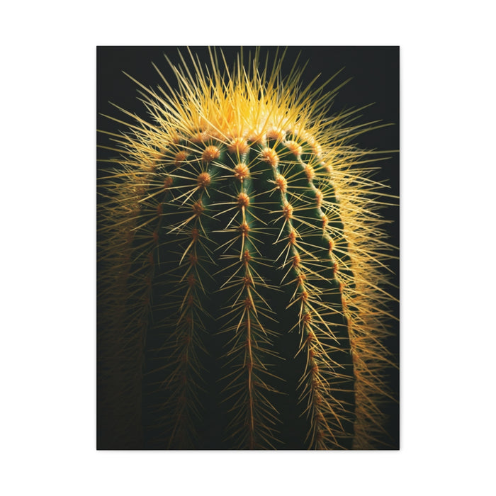 Desert Stone Barrel Cactus Wall Art & Canvas Prints