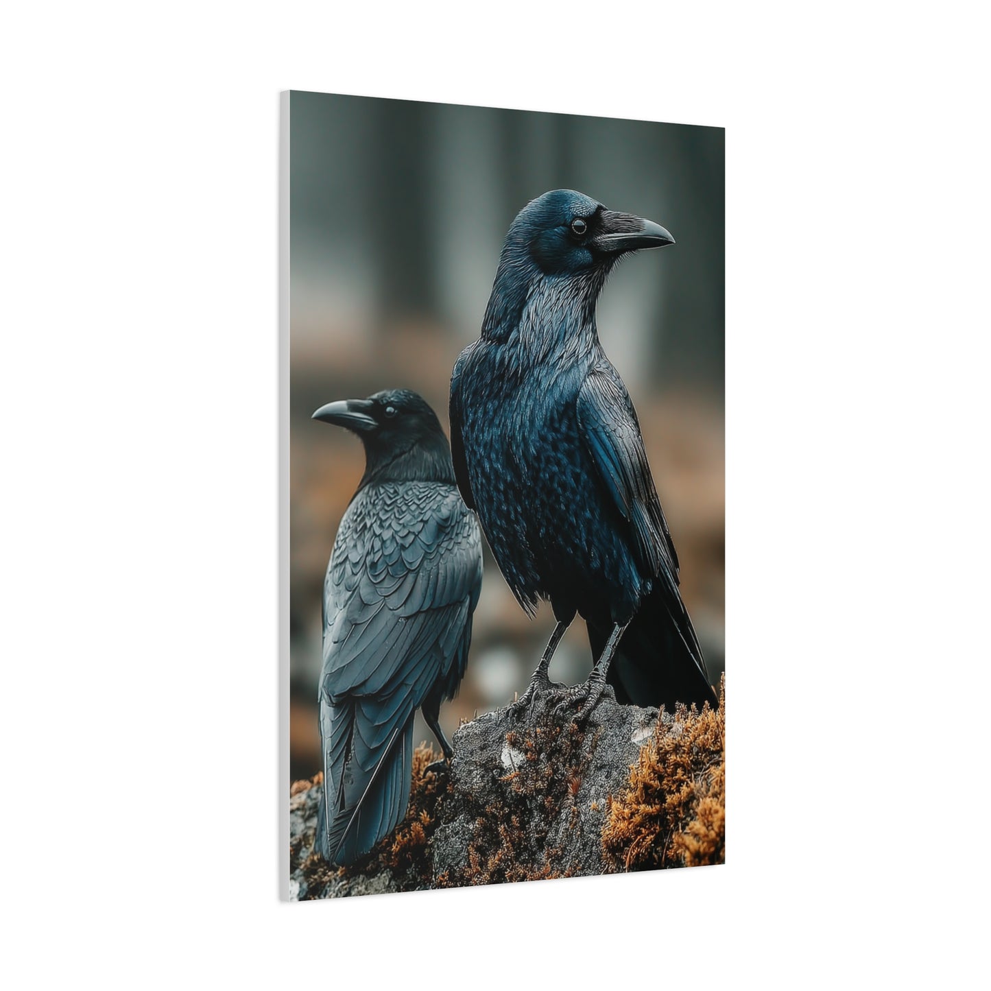 Raven and Crow Portrait – Guardians of the Wild Wall Art & Canvas Print