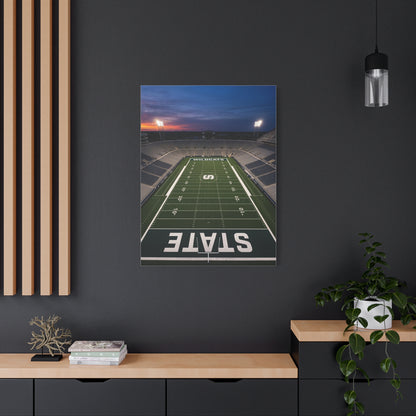 Stadium Under Lights Panorama Sports Wall Art & Canvas Print